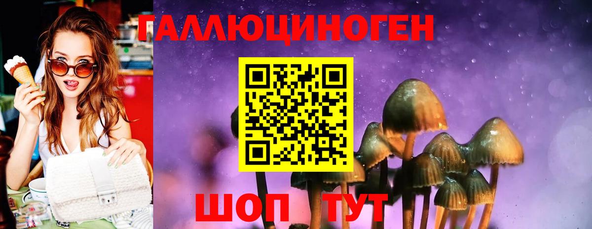 Шадринск  Псилоцибиновые грибы GOLDEN TEACHER  Вход с VPN 